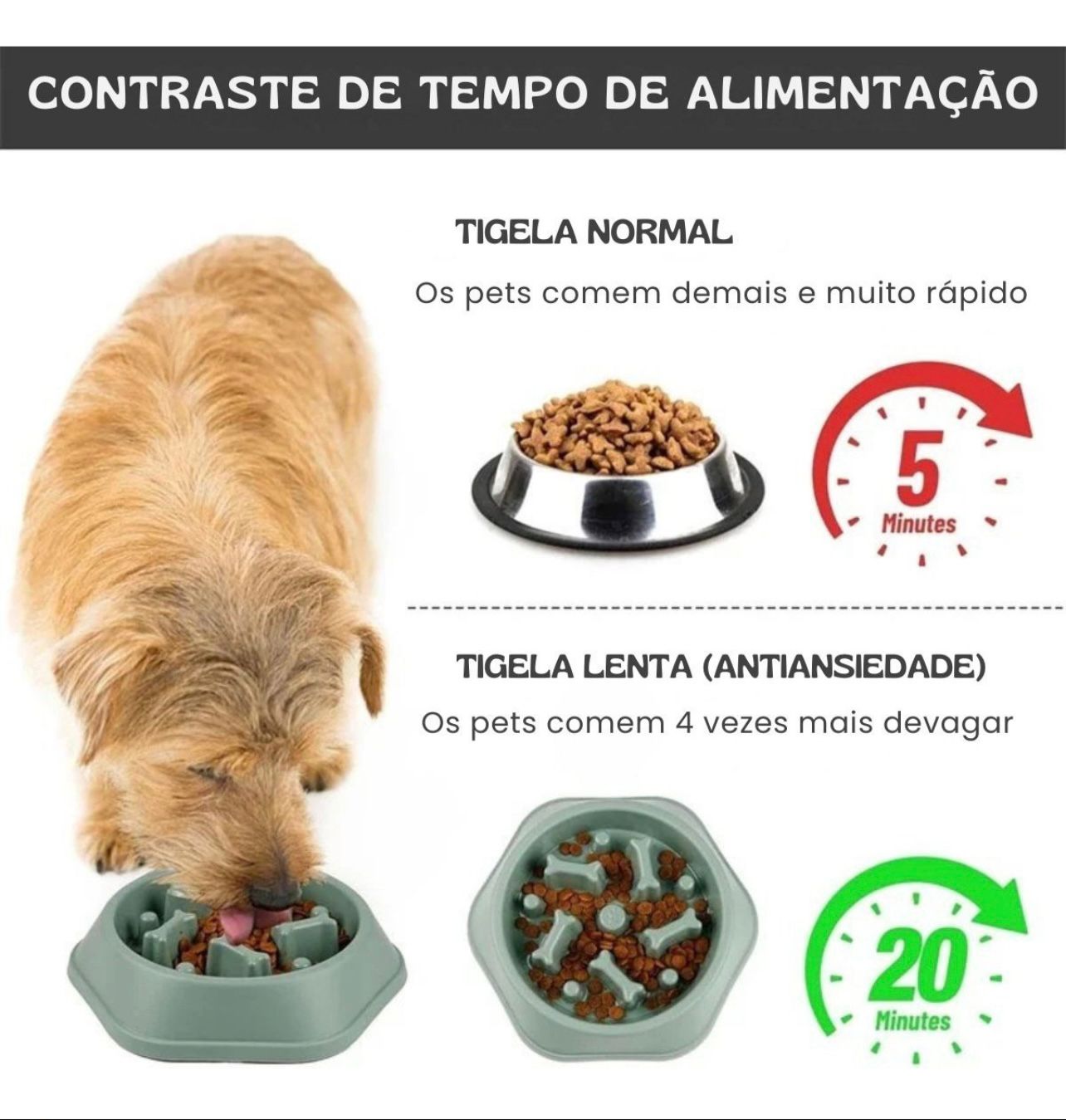 Pet usando comedouro lento