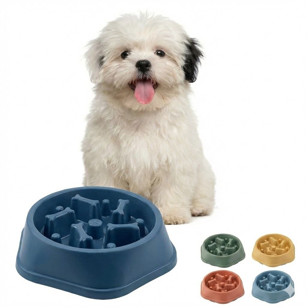 Comedouro lento pronto para entrega